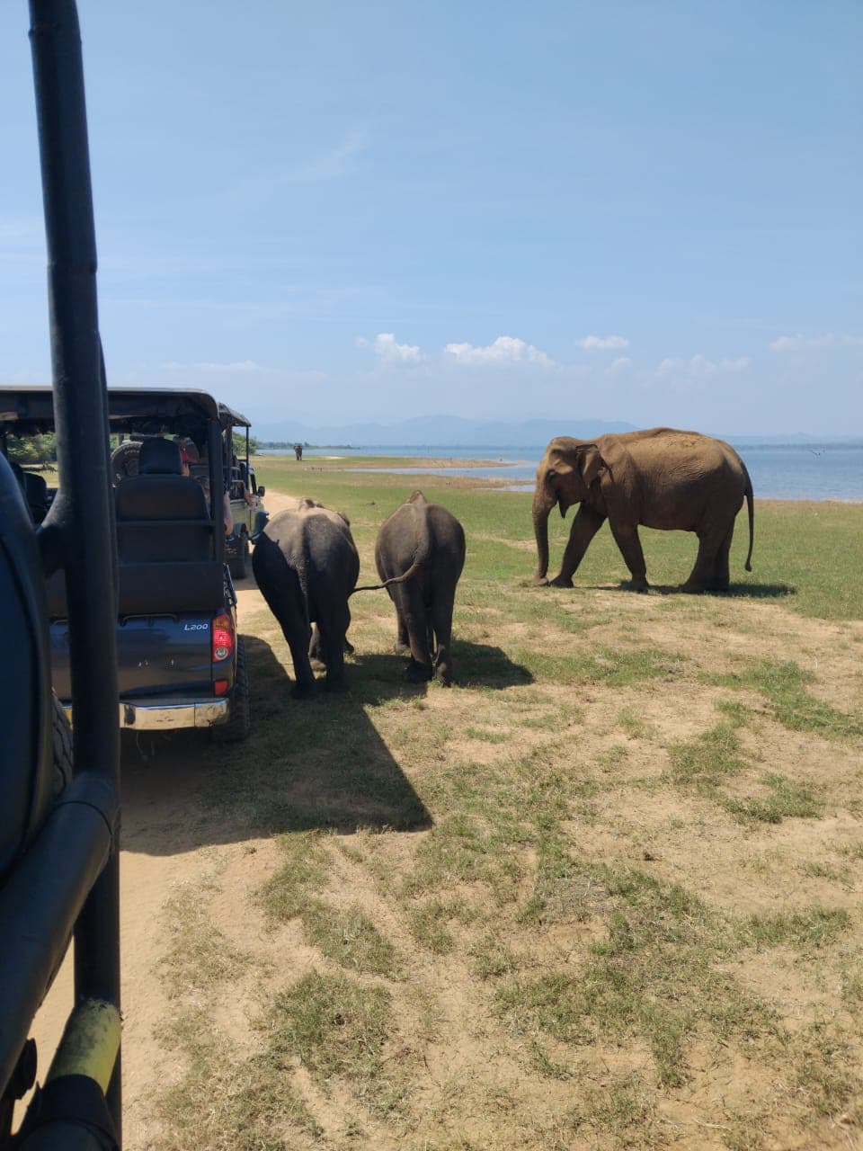 Ceylon Moment